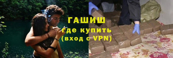индика Богородск