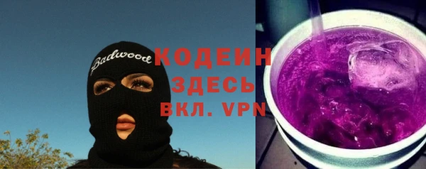 индика Богородск