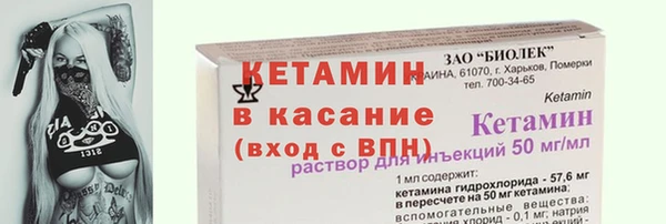 индика Богородск