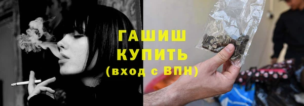 индика Богородск