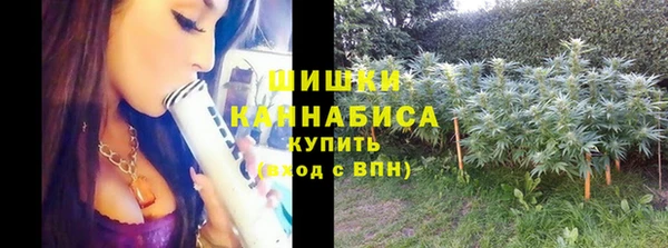индика Богородск