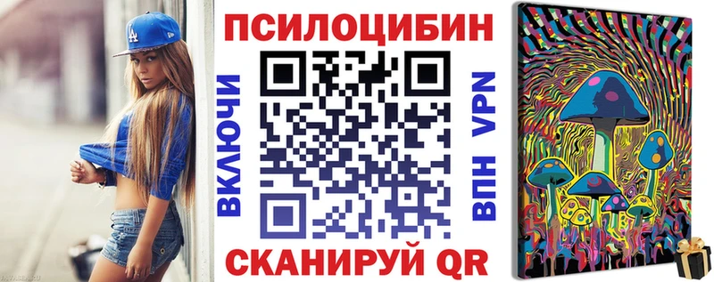 Галлюциногенные грибы Psilocybine cubensis Новое Девяткино